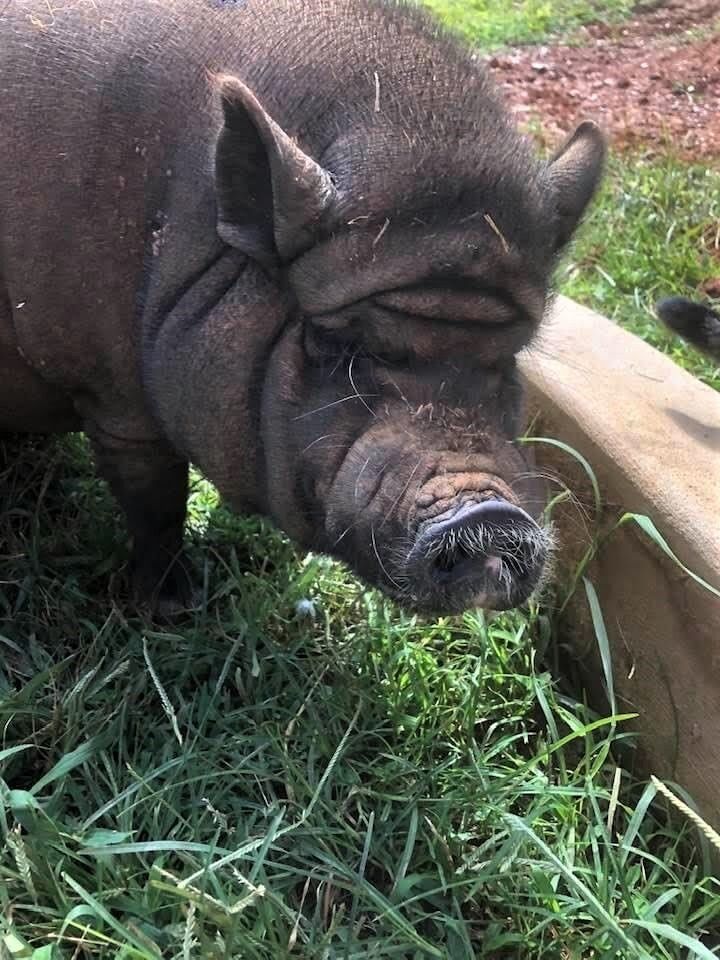Bertha